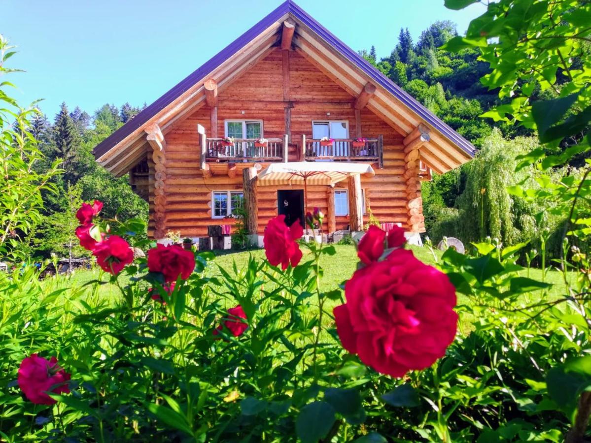 Bed and Breakfast Chalet Le Dorf Нёч Экстерьер фото